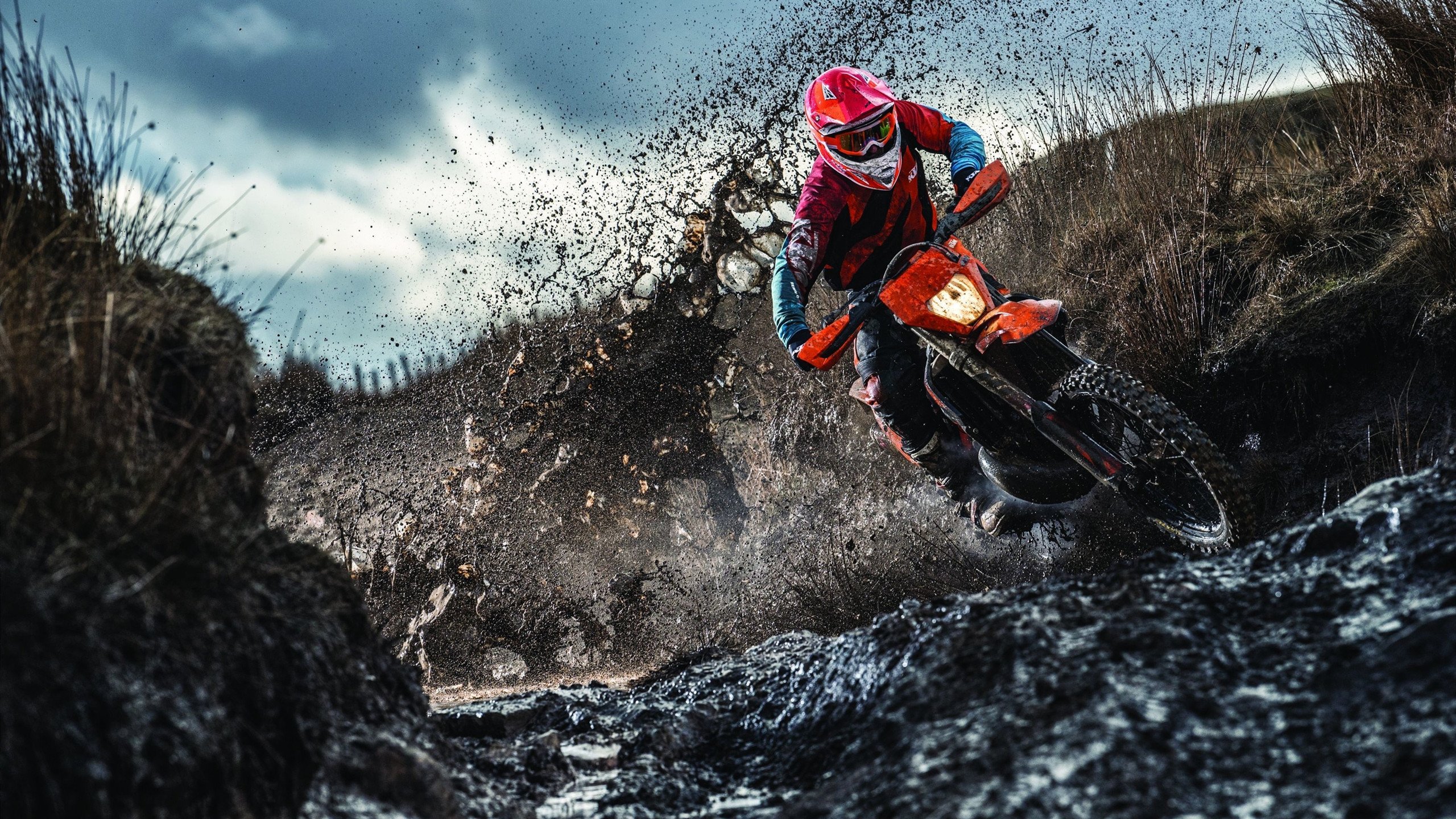 约基奇爆发之夜,森林狼压哨绝杀灰熊,一场定义赛季的较量